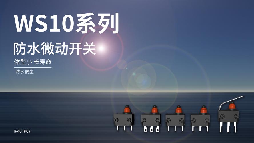 東南電子公司的微動開關產品主要應用于家電行業，并逐步深入至汽車、電動工具、智能低壓電器等領域